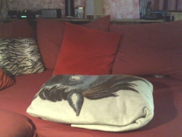 tanjamep 09-10-2021 Cam 